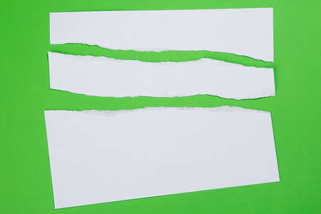 Torn white paper on green backgroundの写真素材