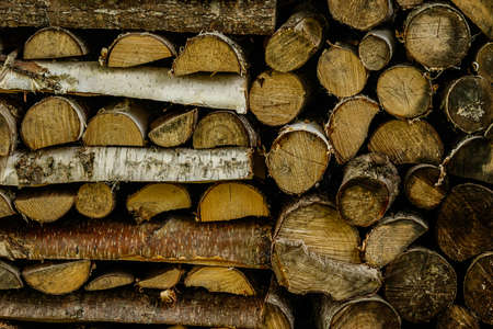 Stack of firewood in the depotの写真素材