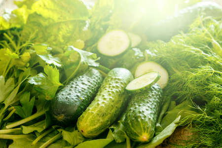 Sliced cucumbers,  plants and herbs.の写真素材