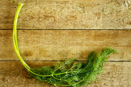 Twig of dill on wooden tableの写真素材
