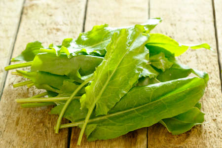 Green sorrel leaves on wooden tableの写真素材