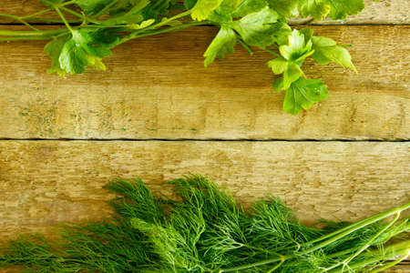 Parsley and dill on wooden tableの写真素材