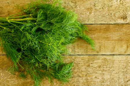 Branch of dill on wooden table