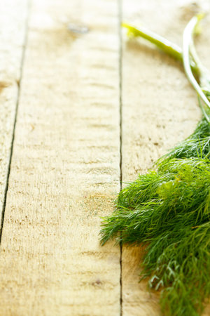 Twig of dill on wooden table