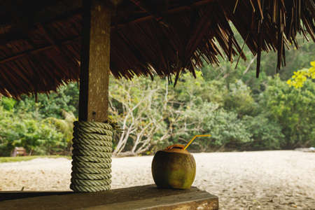 Cocktail with coconut milk in beach barの写真素材