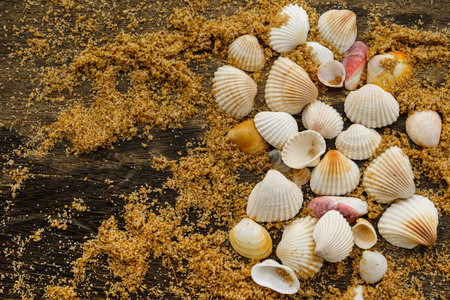Different seashells and sand on wooden surface