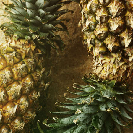 Pineapple fruits  on the sandの写真素材