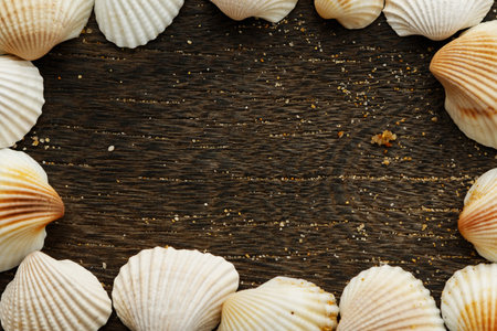 Different seashells on a wooden surface
