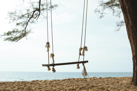 Wooden swing with view to the sea