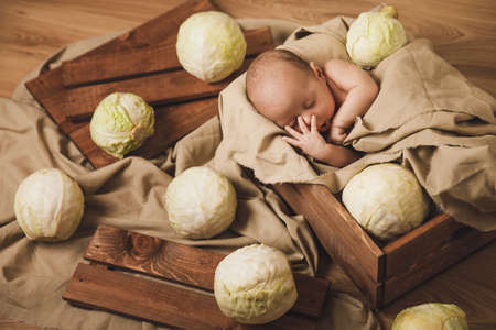 Little baby is lying in the box with a lot of cabbages aroundの写真素材