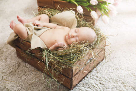 Baby is lying in the wooden box filled with a hay and heap of pink tulipsの写真素材