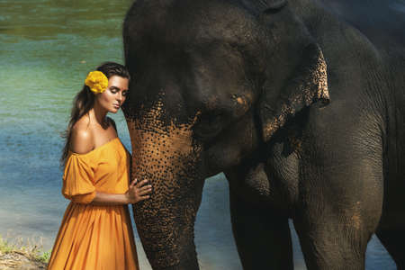 Woman in beautiful orange dress and mighty elephantの写真素材