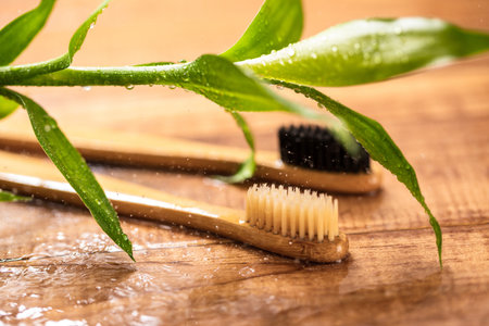 Closeup of bamboo plant and eco friendly toothbrushes