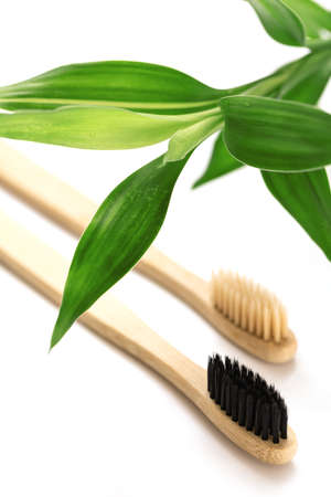 Eco friendly toothbrushes and bamboo plant on whiteの写真素材