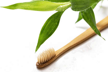 Eco friendly toothbrush and bamboo plant on whiteの写真素材