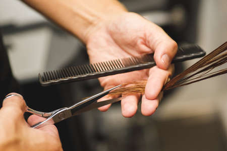 Hairdresser male hands during cutting female hairの写真素材