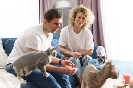 Happy caucasian couple and their cats at homeの写真素材