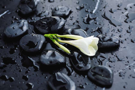 Beautiful plumeria flower and hot spa stonesの写真素材