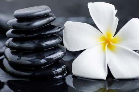 Beautiful plumeria flower and hot spa stonesの写真素材