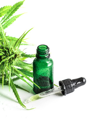 Cannabis plant and bottle with a CBD oil
