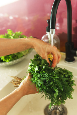 Female hands washing dill and parsley in the tap waterの写真素材