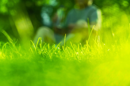 Green grass with a person out focus on backgroundの写真素材