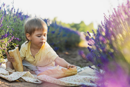 Cute hungry baby eating bread during picnic in a lavender fieldの写真素材
