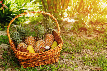 Basket full of fresh and different tropical fruitsの写真素材