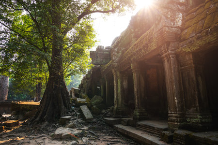 Ruins of ancient Khmer temple in Siem Reap, Cambodiaの写真素材