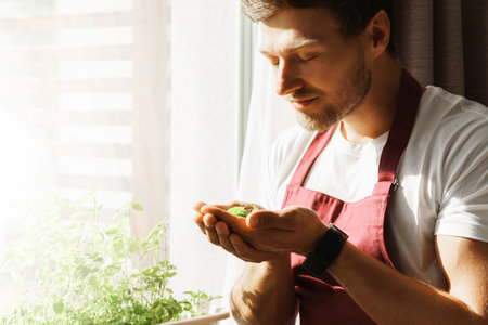 Young man holds fresh basil at homeの写真素材