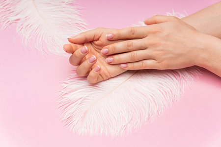 Closeup of female hands with smooth skin and soft ostrich feather on pink backgroundの写真素材