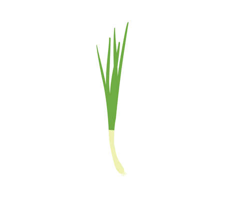 Green onion illustration. Onion icon.のイラスト素材