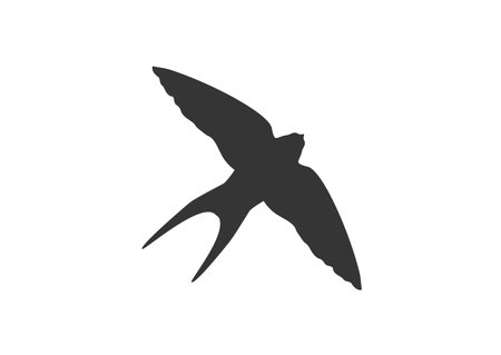Swallow icon. swallow bird fly icon.  Bird vector design.のイラスト素材