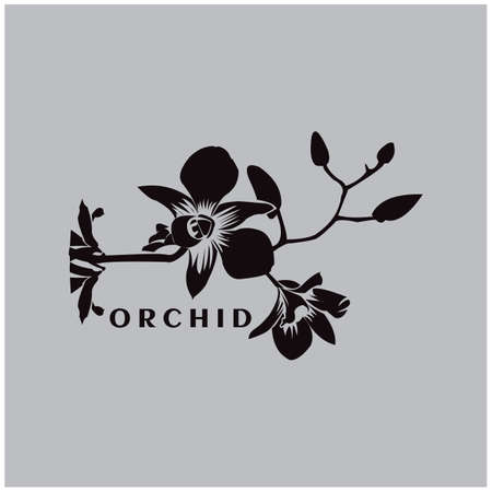 Silhouette of orchids on a white backgroundのイラスト素材