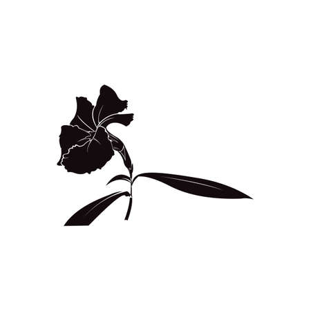 Illustration of flower with a stem on a white backgroundのイラスト素材