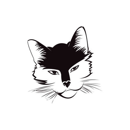 Cat's head against a white backgroundのイラスト素材