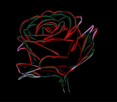 roseのイラスト素材