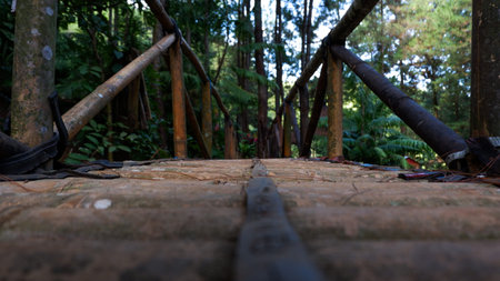 Photo of a bridge made of bamboo in a pine forest