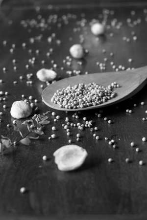 Photo of spices from Indonesia, namely candlenut and coriander in a vintage style photoの写真素材