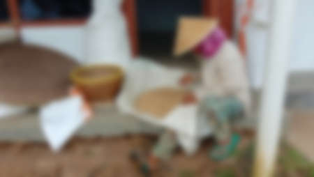 blurry photo of an asian farmer harvestingの写真素材