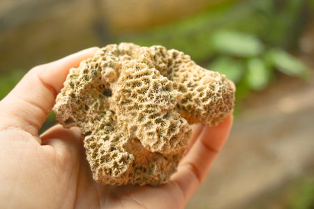 Stock photo of fish and some aquarium equipmentの写真素材