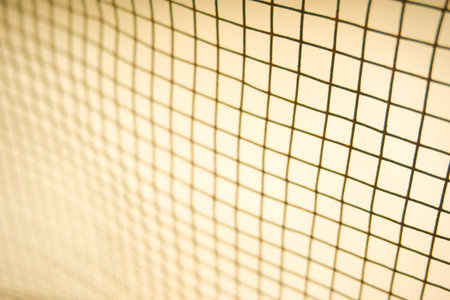 Stock photo with empty space over orange tree, orange field background. For product display montageの写真素材