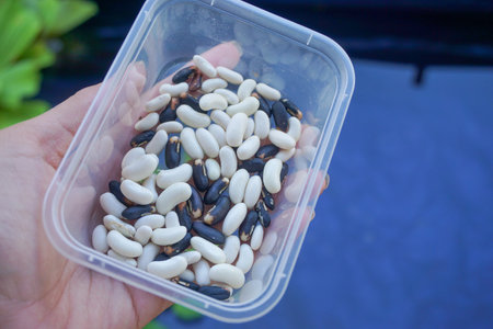 Stock photo of grain sitting in a container with bright lighting