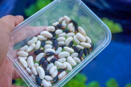 Stock photo of grain sitting in a container with bright lightingの写真素材