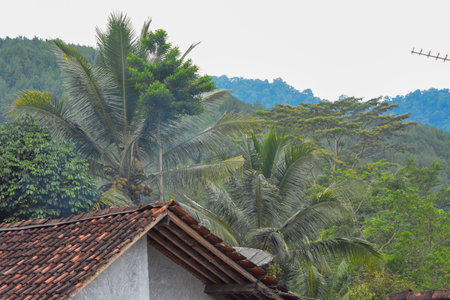 Photo of the roof of a house in the countryside made of tilesの写真素材
