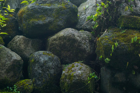 Photos of objects with neat arrangements, background objectsの写真素材