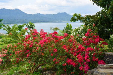 Photo of the park in Tanjung Serut tourist village