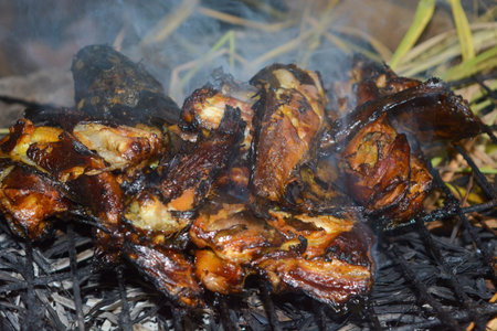 Close up portrait of burning fish.の写真素材