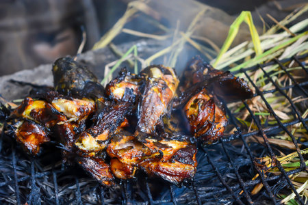 Close up portrait of burning catfish. It looks so delicious.の写真素材