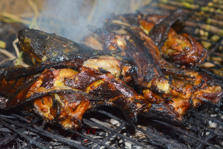 Close up portrait of burning catfish. It looks so delicious.の写真素材
